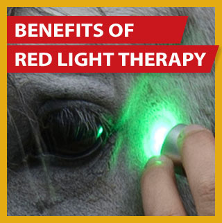 Photonic Health red light therapy ad