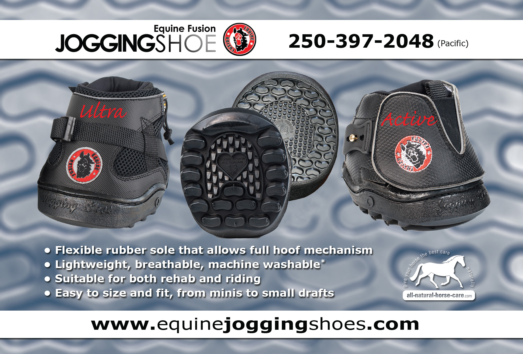Equine Jogging Shoe - Now available in 