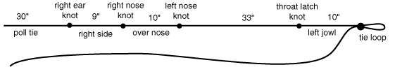 Knot1