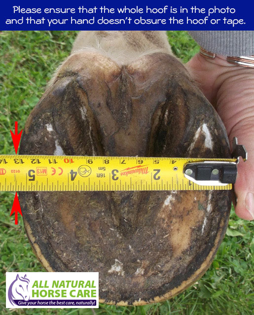 Measuring hoof width