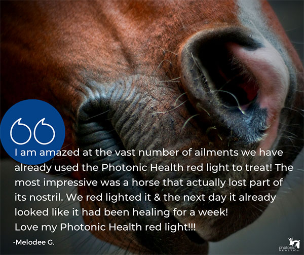 Photonic Health testimonial all ailments