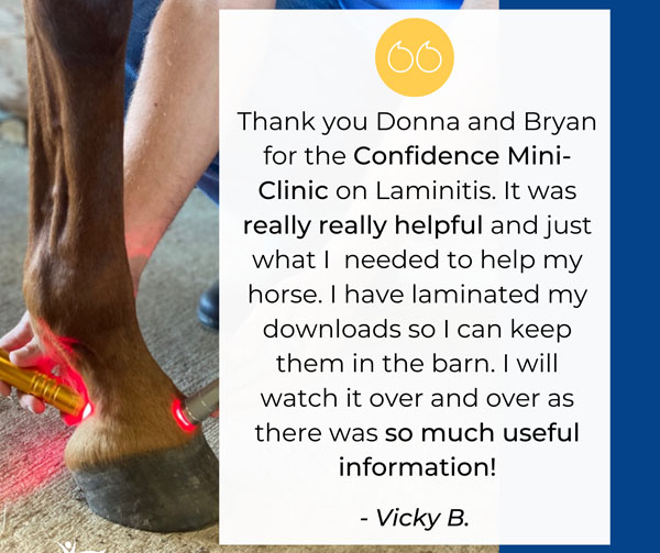 Photonic Health testimonial laminitis