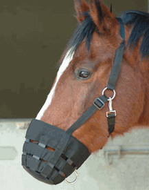 Shires grazing muzzle